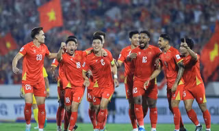 Đội tuyển Việt Nam