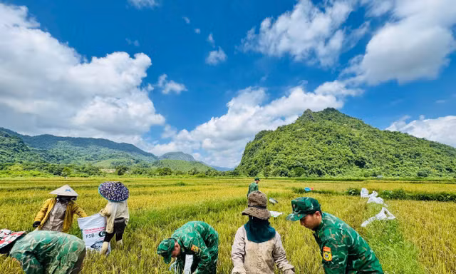 Rộn ràng ‘mùa vàng’ trên biên giới 