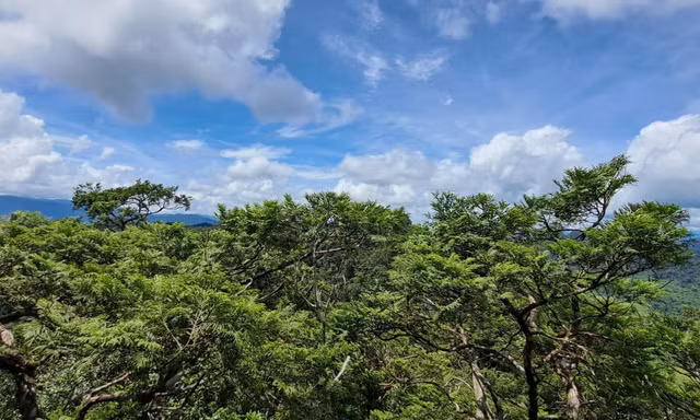 Phong Nha - Kẻ Bàng được công nhận là Khu Dự trữ sinh quyển thế giới 