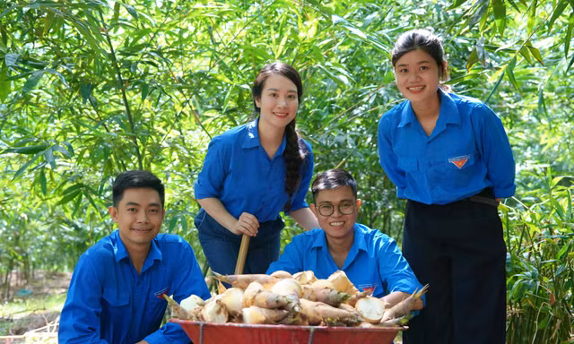 Lạc giữa rừng tre lục trúc của nhóm bạn trẻ ở Quảng Trị 