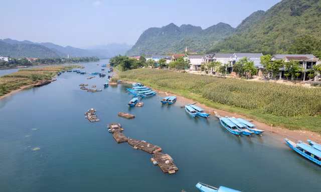 Cá trắm sông Son: 'Đặc sản' nuôi lớn miền di sản Phong Nha 