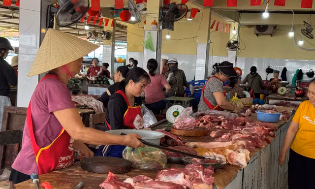 Có hay không việc 'thả nổi' kiểm dịch 90% thịt lợn ở Quảng Trị?