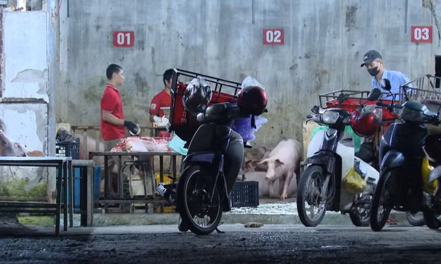 Cơ sở giết mổ của bà Nguyễn Thị Thanh Huyền luôn vượt công suất.