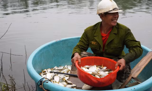 Mùa săn cá mòi dưới chân đập Rào Nan 