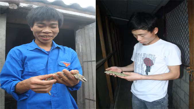 Ngọc Văn Viên và Hoàng Văn Vui nâng niu những con tắc kè