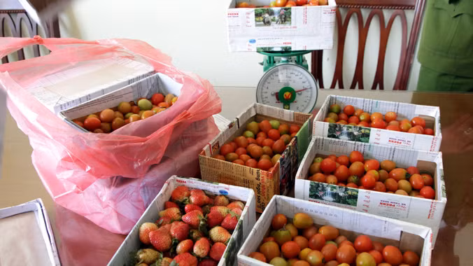 Tang vật bị thu giữ