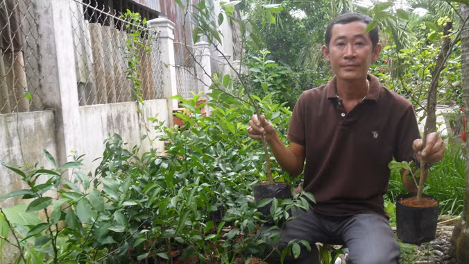 Anh Lê Ngọc Khương bên cạnh vườn ươm chanh không hạt