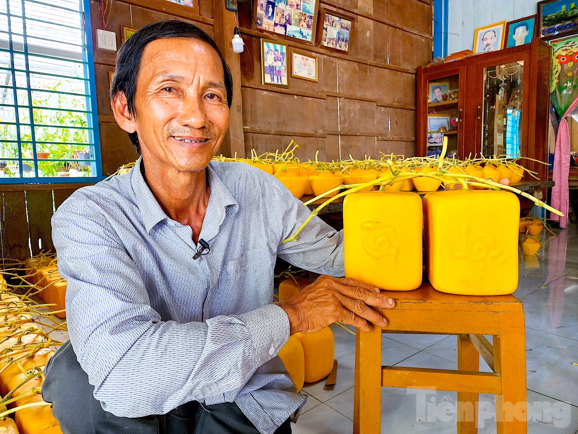Nói về cơ duyên đến với việc tạo hình dưa hấu, ông Cưng cho biết, gia đình ông vốn có truyền thống trồng dưa hấu chưng Tết nên ông cũng nối nghiệp cha mẹ. Vào năm 2000, trong một lần đào mương, rồi dùng 2 tấm gỗ chặn đường mương thì có một trái dưa hấu non kẹt ở giữa nhưng ông không để ý. Đến ngày thu hoạch dưa thì bất ngờ phát hiện trái dưa hấu đó bị 2 tấm gỗ ép lại tạo thành 2 mặt phẳng nhưng trái vẫn bóng đẹp, không bị hư nên ông mới nảy sinh ý tưởng làm dưa hấu vuông (Ảnh: Kim Hà).