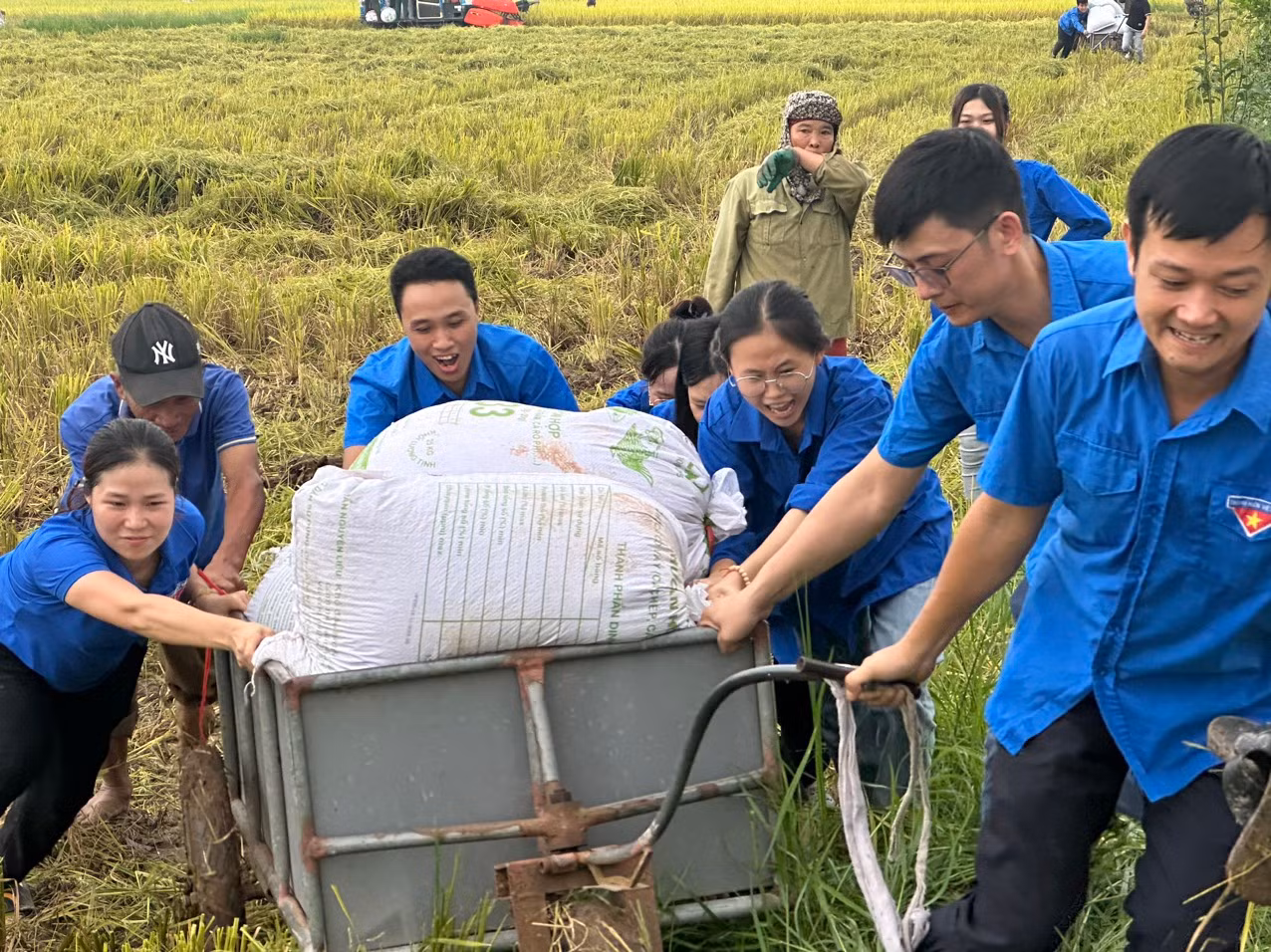 Ngày 6/6/2024, trên địa bàn 2 huyện Quỳnh Phụ và Hưng Hà, tỉnh Thái Bình, các đội hình thanh niên xung kích tổ chức giúp đỡ người dân thu hoạch lúa mùa, để đảm bảo tiến độ thi công đường dây 500KV mạch 3 đi qua địa bàn tỉnh Thái Bình. Kết quả toàn tỉnh đã thu hoạch được trên 20 mẫu ruộng…