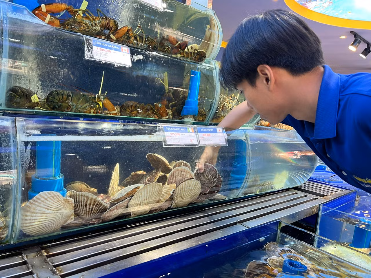 King Carb, bào ngư sống... đắt hàng dịp Tết