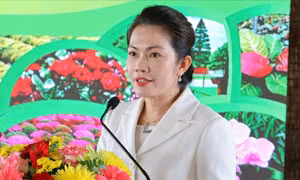 Đưa 1.000 loài hoa tới lễ hội Sa Đéc