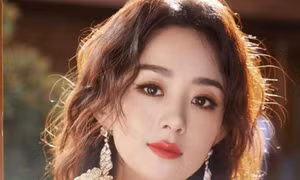 Tình trạng của Triệu Lệ Dĩnh