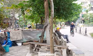 Công viên tại trung tâm Hà Nội bị hàng quán lấn chiếm, bãi cỏ thành nơi trồng rau