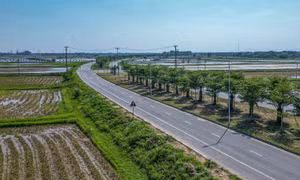 Một xã ở Hà Nội thu ngân sách đạt hơn 600% dự toán