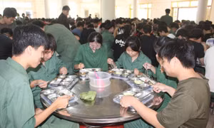 244 sinh viên nghi bị ngộ độc, xử phạt đơn vị cung cấp suất ăn