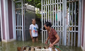 Người dân vùng ngập Hà Nội kể về 30 phút 'nước như lũ ống, cuốn trôi cả nghìn con gà'