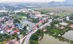 Hà Nội: Chuẩn bị đấu giá hơn 52ha đất nông nghiệp công ích, khởi điểm 775 đồng/m2/năm