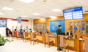 Thông tin quanh vụ việc cụ bà gần 100 tuổi được yêu cầu đến phường làm thủ tục hành chính