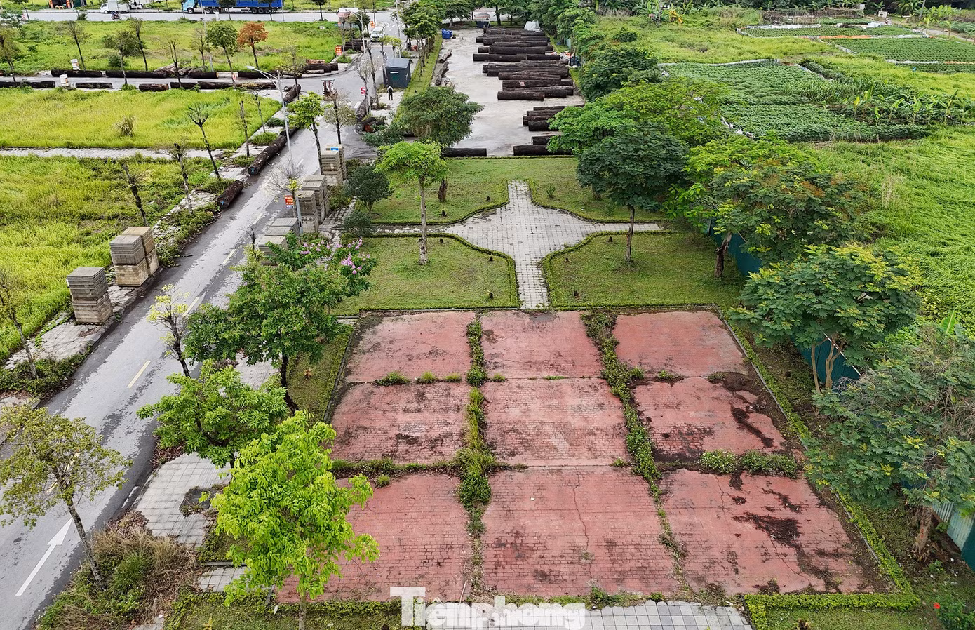 tp-ji-20260504112749-0177-tp.jpg