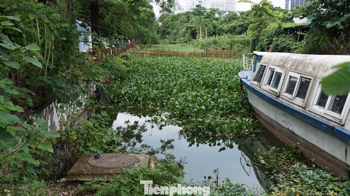 tp-02604.jpg