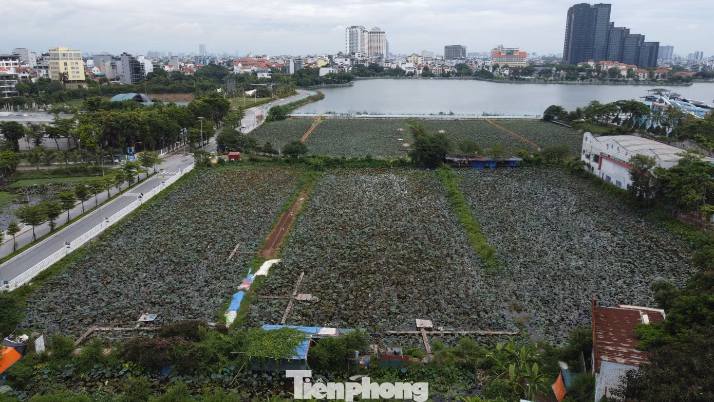 tp-0705.jpg