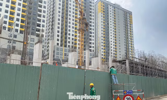 Giá căn hộ tăng hơn 300% trong 10 năm qua