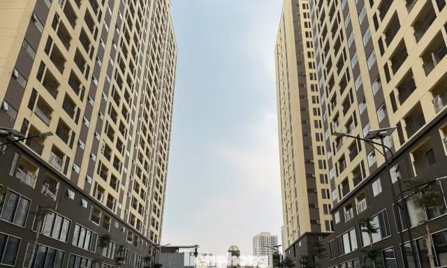 TPHCM muốn nâng thu nhập người mua nhà ở xã hội lên 60 triệu/tháng
