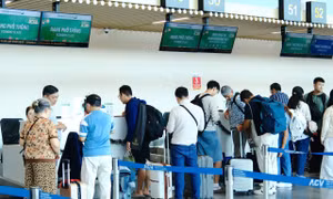 Cảnh báo nguy cơ trễ chuyến bay vì nhầm nhà ga ở Tân Sơn Nhất 