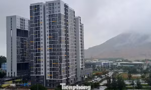 Nhà ở xã hội cho thuê: 'Liều thuốc' ngăn chặn đầu cơ bất động sản?