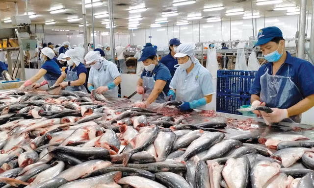 ‘Giải cứu' thanh long, hồ tiêu,... đang tắc đường sang châu Âu