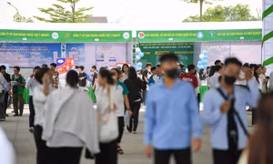 Doanh nghiệp trở thành ‘giảng đường thứ hai’ của sinh viên nông nghiệp