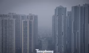 Mưa phùn không làm tan sương: Hà Nội mịt mù và ngột ngạt, tầm nhìn giảm mạnh