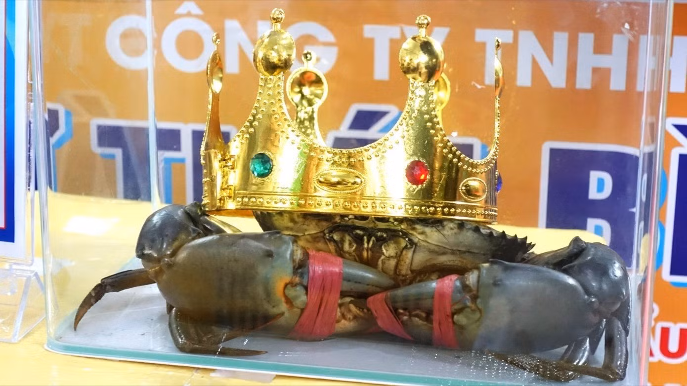 image.jpg