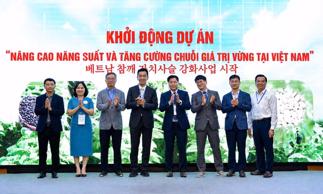 Sắp hình thành vùng sản xuất vừng hiện đại tại Nghệ An, Đồng Tháp