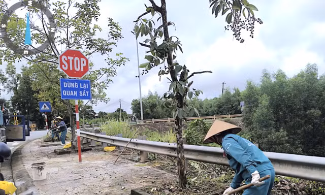 Bổ sung biển báo, kiểm soát tốc độ trên đường Hồ Chí Minh nhánh Đông sau vụ tai nạn