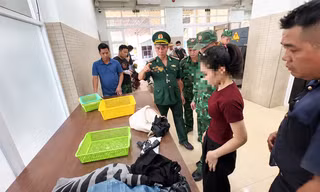 Khởi tố vụ người phụ nữ mang súng quân dụng từ Campuchia về Việt Nam