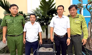 'Khách không mời' bò vào công ty, tài xế báo công an