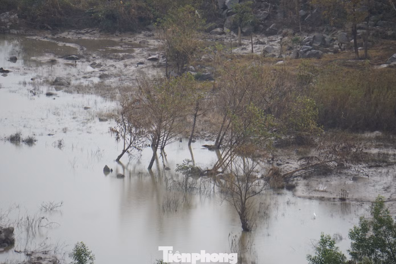 tp-c_thuy-dien.jpg