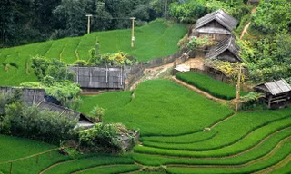 Gần 40 tình nguyện viên đăng ký tham gia chương trình Y4C- Thắp sáng tri thức 2026