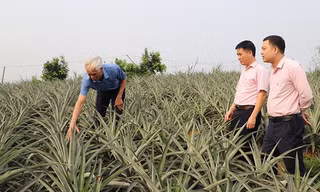 Tín dụng chính sách tạo động lực phát triển kinh tế - xã hội