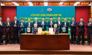 TKV và PVN cùng mở rộng hợp tác giữa các Tập đoàn công nghiệp năng lượng quốc gia