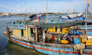Chất biển mạnh mẽ trong nhịp sống người dân miền duyên hải