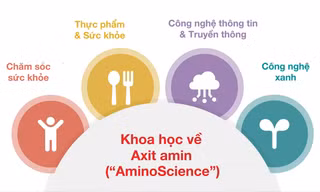 'Đế chế' gia vị Ajinomoto và cuộc viễn chinh vào 'trái tim' chip bán dẫn toàn cầu 