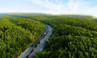 Vinhomes Green Paradise: Nơi ngôi nhà 'mở ra thế giới', nơi thế giới khát khao tìm về