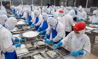 COFIDEC: Tiên phong chuyển đổi xanh, nâng tầm vị thế bền vững ngành thủy sản Việt Nam