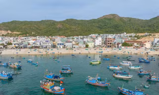 Quy Nhơn chuyển mình thành 'Thành phố khoa học'