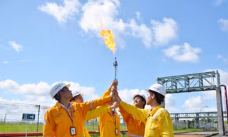 Đoàn viên, thanh niên PV GAS dấn thân kiến tạo giá trị