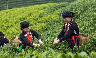 Du lịch Thái Nguyên trước cơ hội nâng tầm