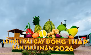 Đồng Tháp thúc đẩy phát triển ngành hàng trái cây theo hướng hiện đại