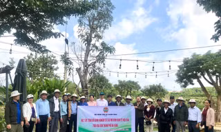 Lan tỏa mô hình nông nghiệp tuần hoàn từ trang trại nông sản Hòa Khương